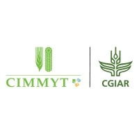 CIMMYT (International Maize and Wheat Improvement Center) Logo