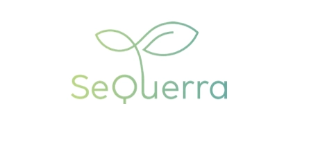 Sequerra Global Logo