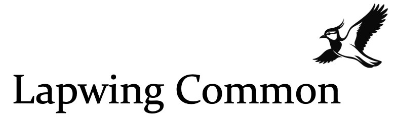 Lapwing Common Logo