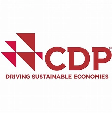 CDP Global Logo