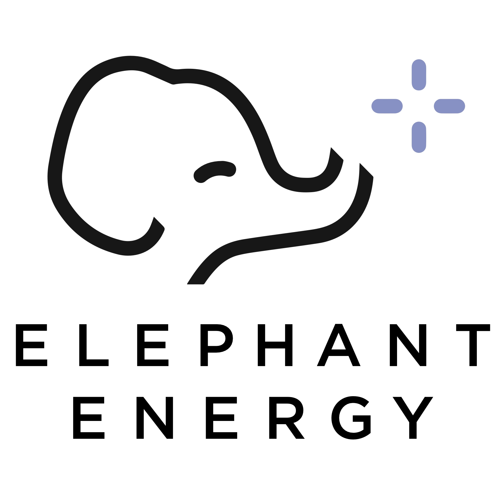 Elephant Energy Logo