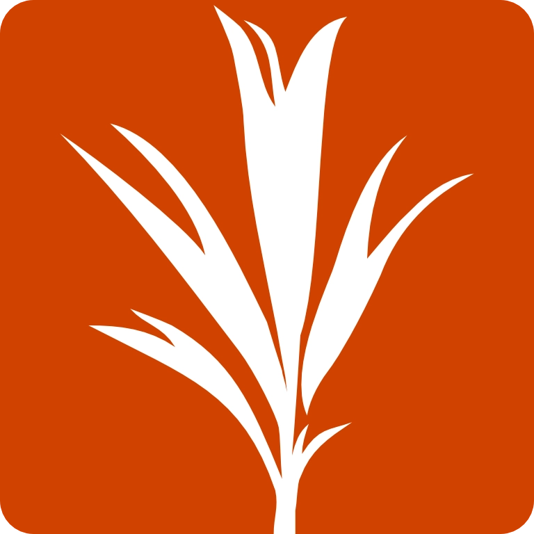 Development Seed Logo