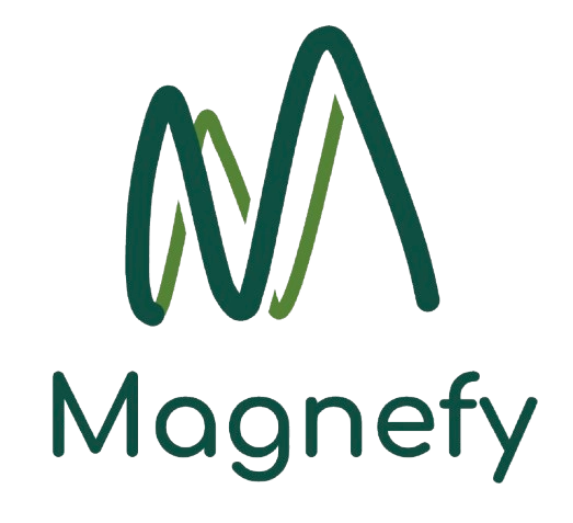 Magnefy Logo